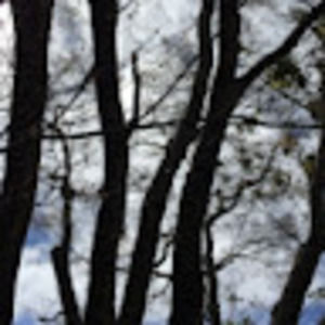 Meet your Posher, Maddy